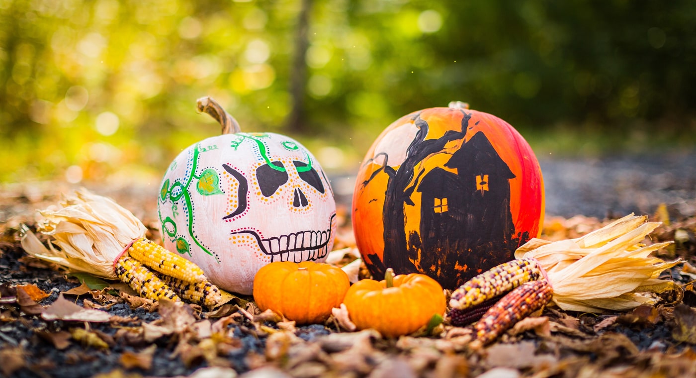 5 Best Tents For 2021 Halloween Auto Camping