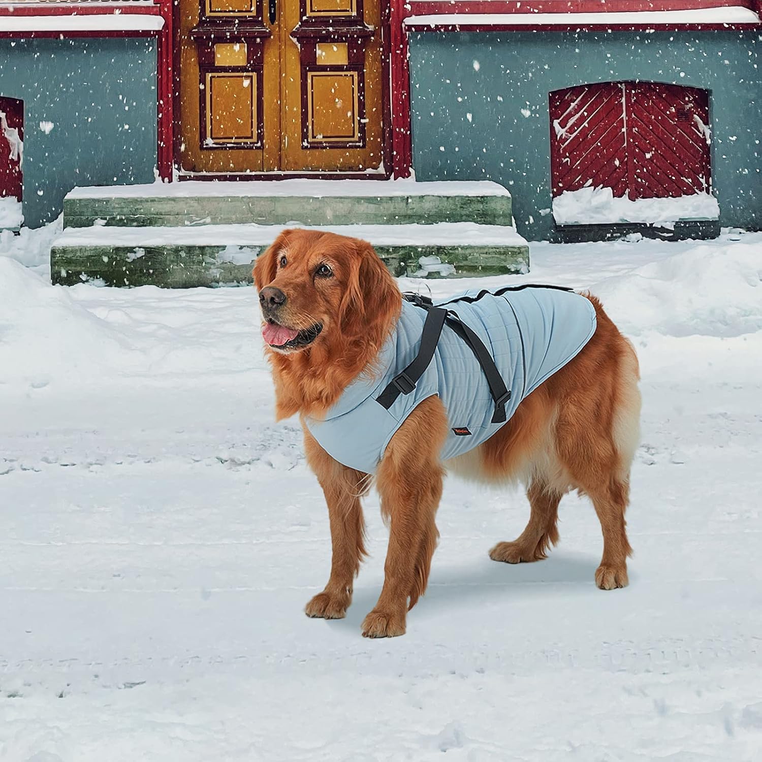 KingCamp PETS Winter Dog Coat with Harness