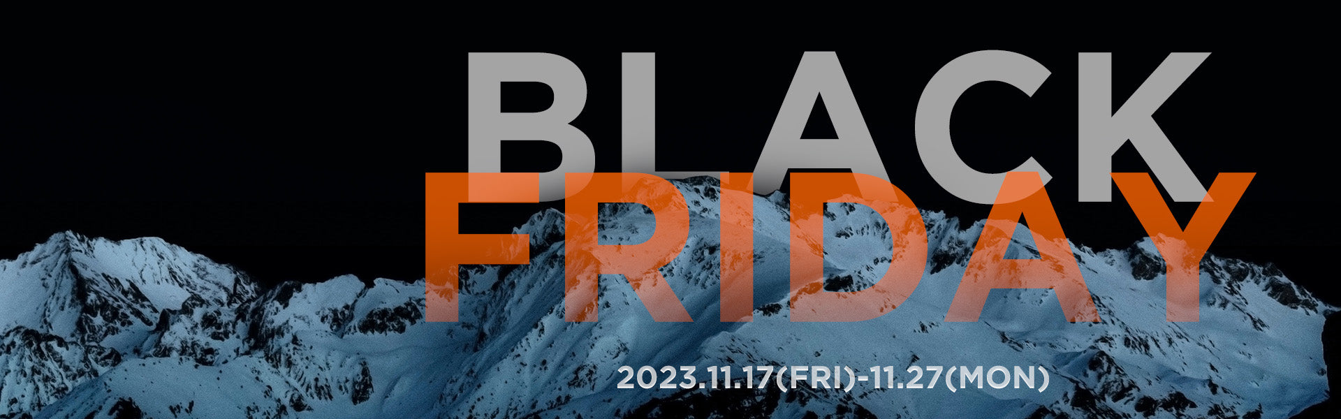 Black Friday Sale