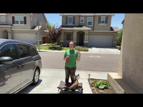 KingCamp PETS Elevated Outdoor Raised Mat